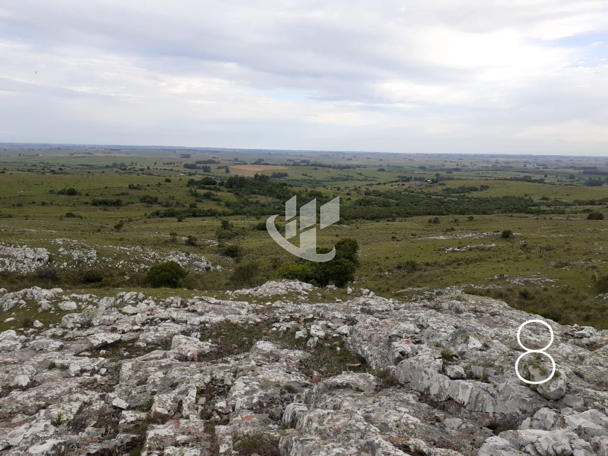 Chacra ID.1498 - CHACRAS EN VENTA 5 HAS A 30 KM DE SAN CARLOS RUTA 39 