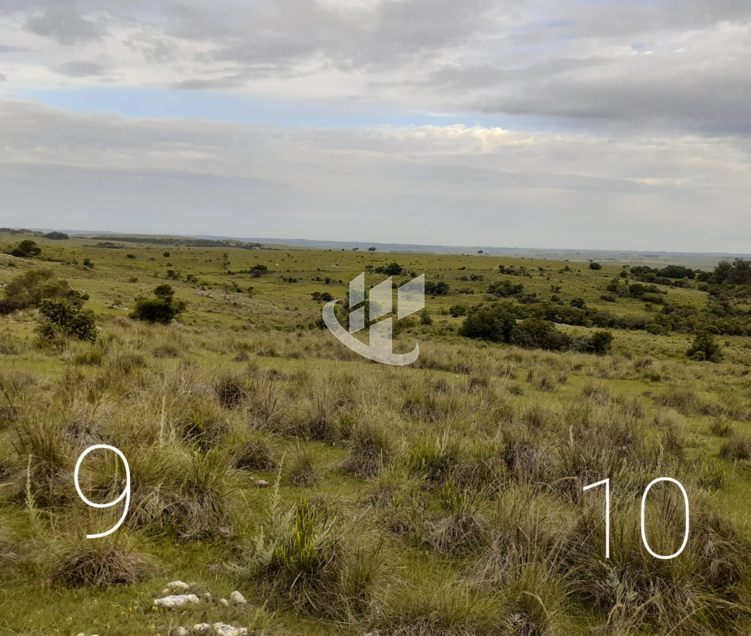 Chacra ID.1498 - CHACRAS EN VENTA 5 HAS A 30 KM DE SAN CARLOS RUTA 39 