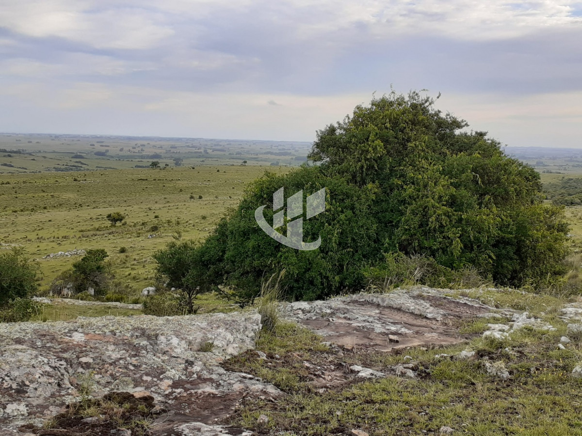 Chacra ID.1498 - CHACRAS EN VENTA 5 HAS A 30 KM DE SAN CARLOS RUTA 39 