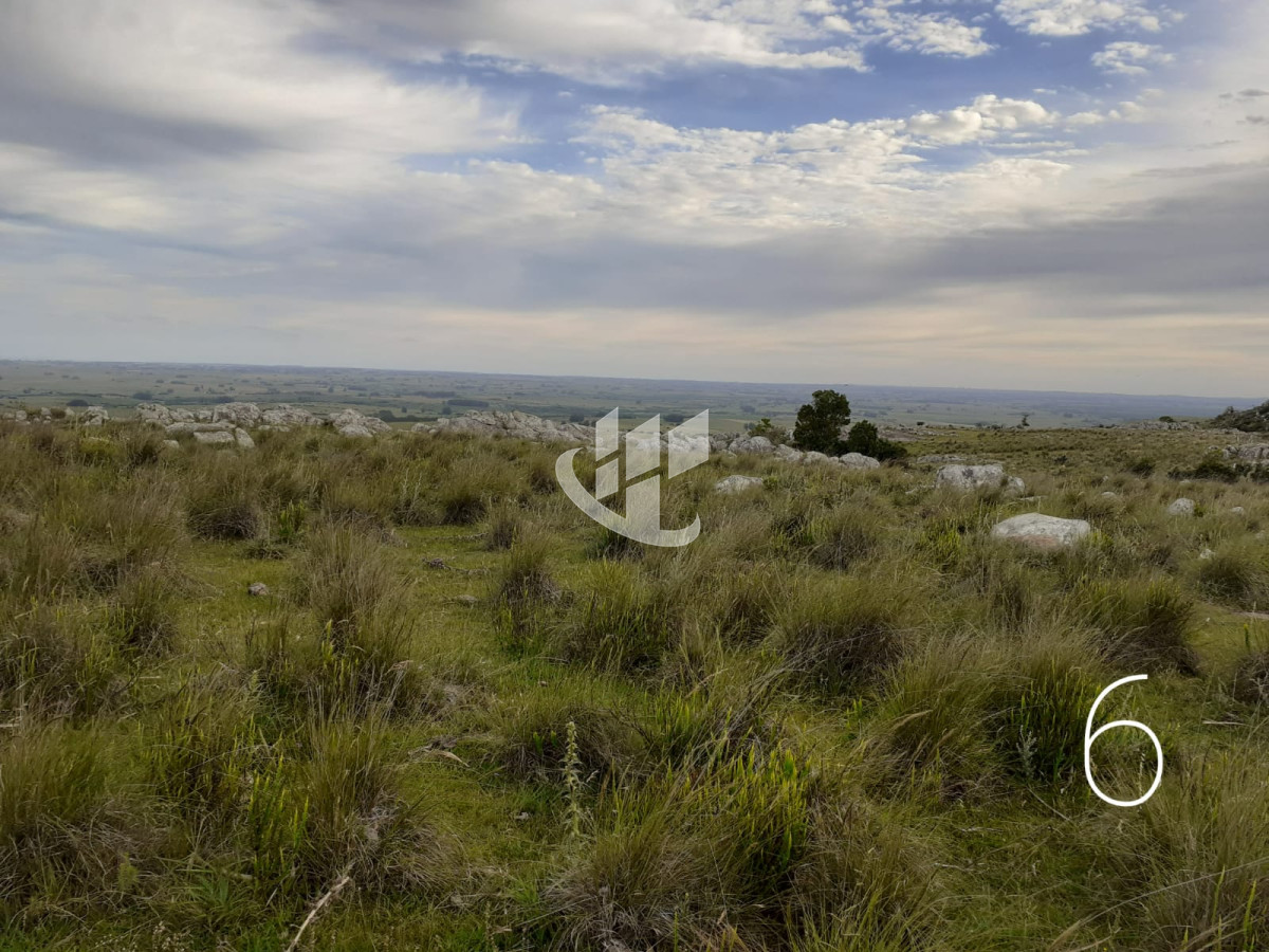 Chacra ID.1498 - CHACRAS EN VENTA 5 HAS A 30 KM DE SAN CARLOS RUTA 39 