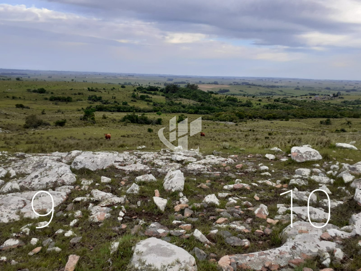 Chacra ID.1498 - CHACRAS EN VENTA 5 HAS A 30 KM DE SAN CARLOS RUTA 39 