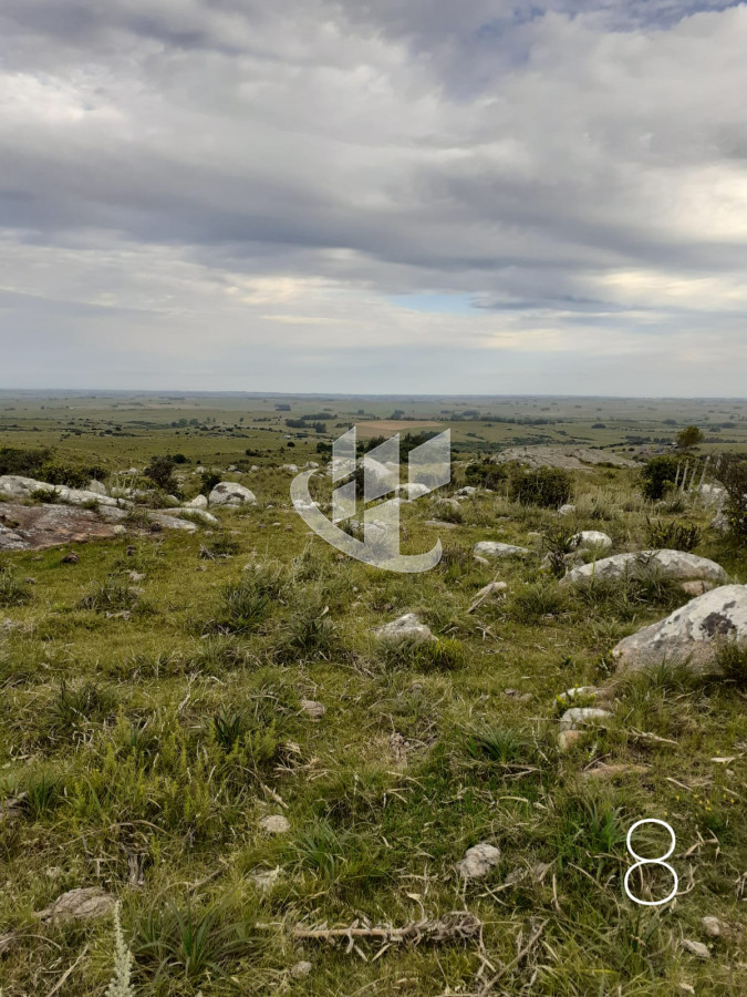 Chacra ID.1498 - CHACRAS EN VENTA 5 HAS A 30 KM DE SAN CARLOS RUTA 39 