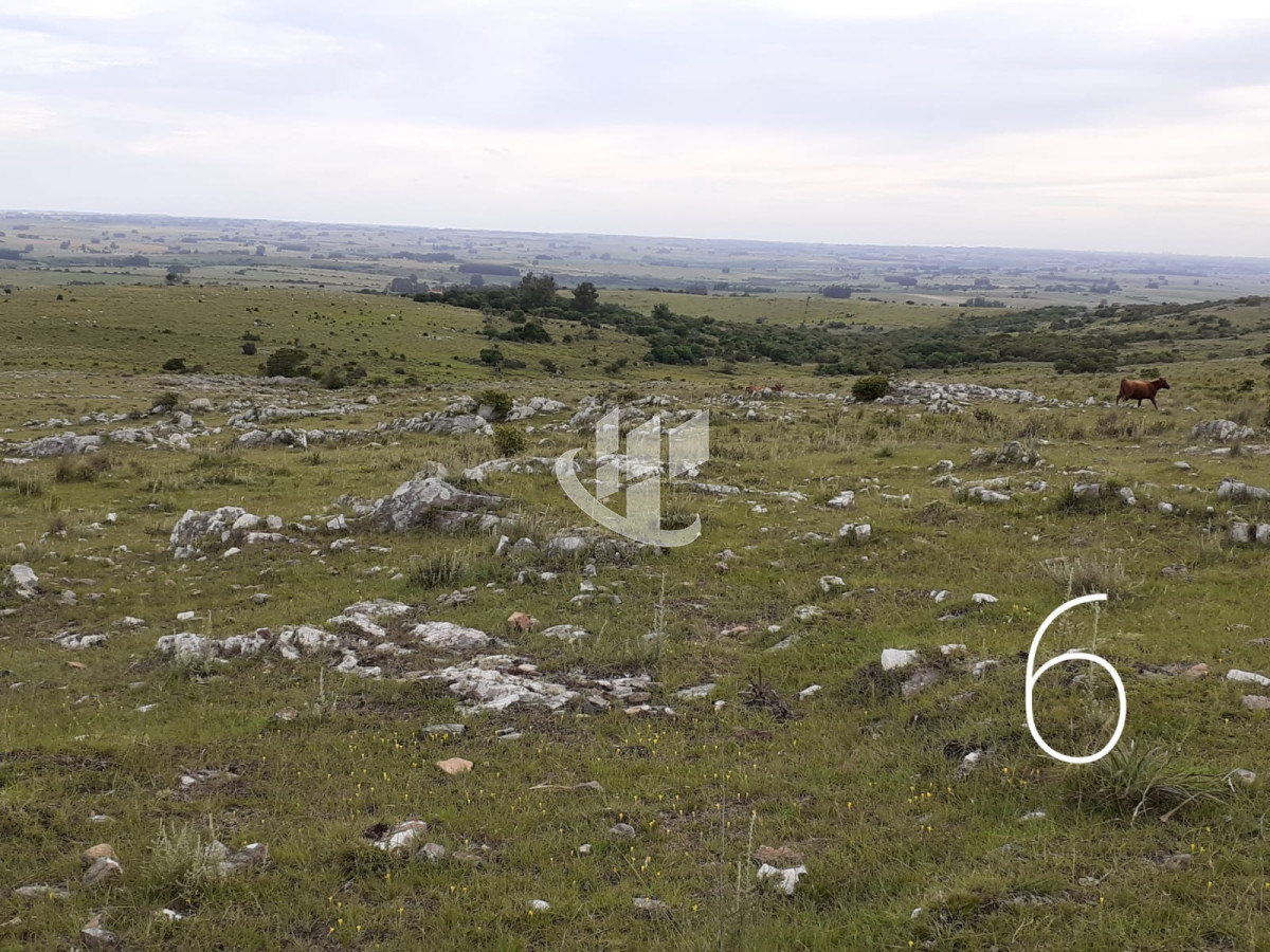 Chacra ID.1498 - CHACRAS EN VENTA 5 HAS A 30 KM DE SAN CARLOS RUTA 39 