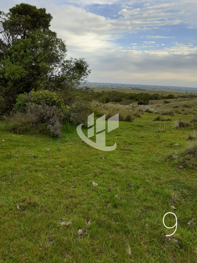 Chacra ID.1498 - CHACRAS EN VENTA 5 HAS A 30 KM DE SAN CARLOS RUTA 39 