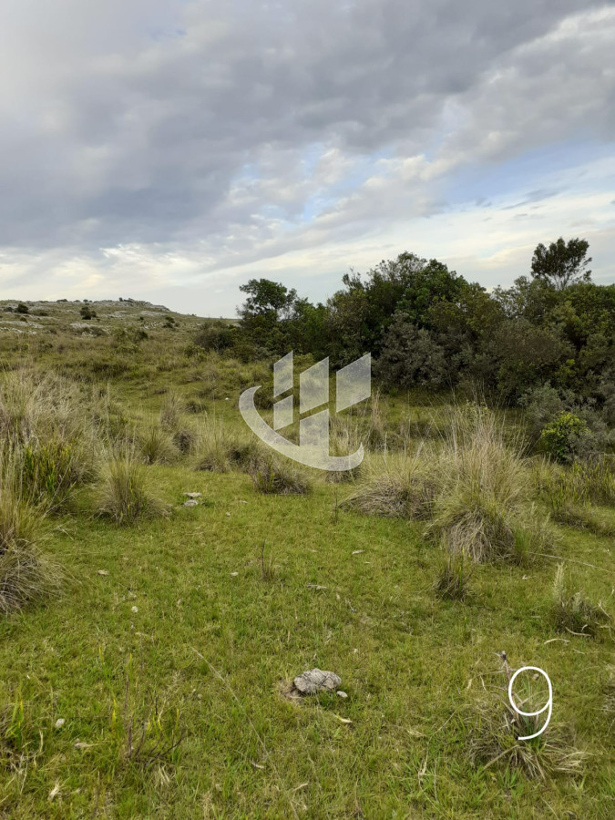 Chacra ID.1498 - CHACRAS EN VENTA 5 HAS A 30 KM DE SAN CARLOS RUTA 39 