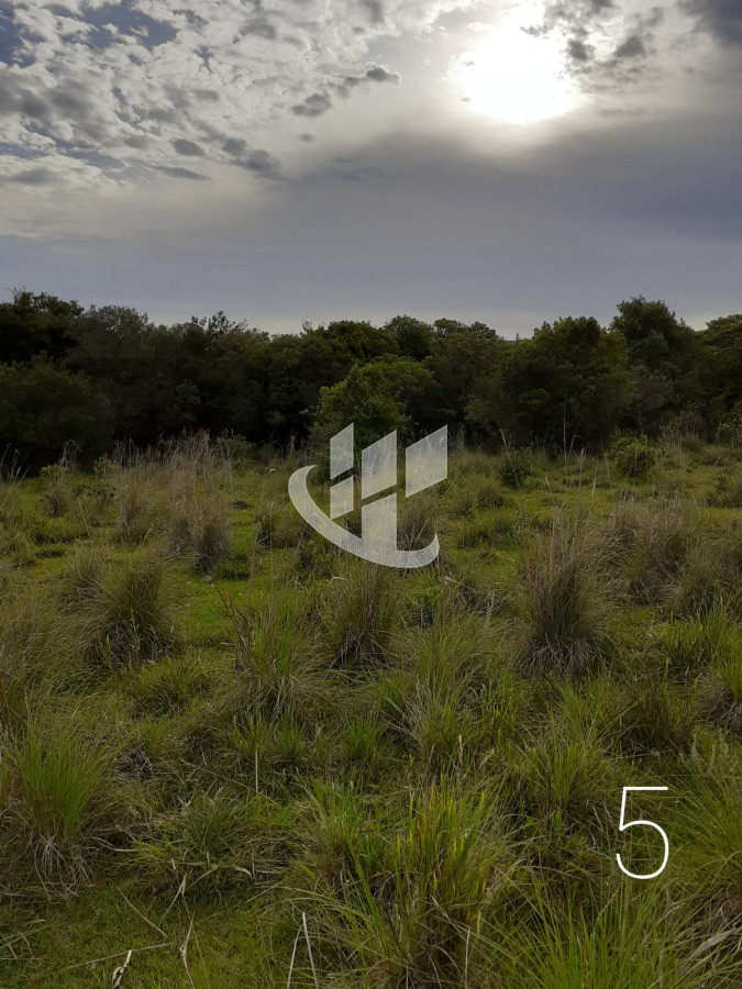 Chacra ID.1498 - CHACRAS EN VENTA 5 HAS A 30 KM DE SAN CARLOS RUTA 39 