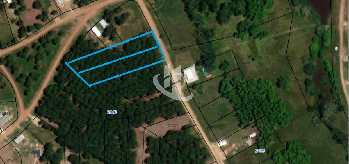 Terreno ID.1660 - PUNTA BALLENA CNO. LUSSICH CHACRAS DEL PINAR TERRENOS DE 2000 M2 