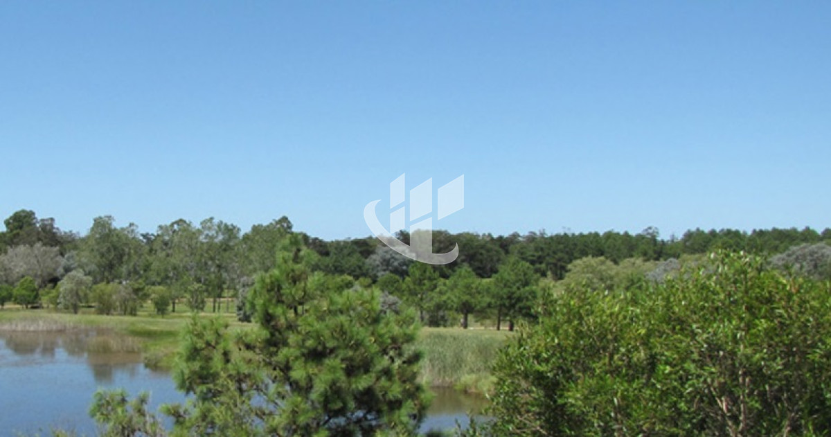 Terreno ID.1660 - PUNTA BALLENA CNO. LUSSICH CHACRAS DEL PINAR TERRENOS DE 2000 M2 