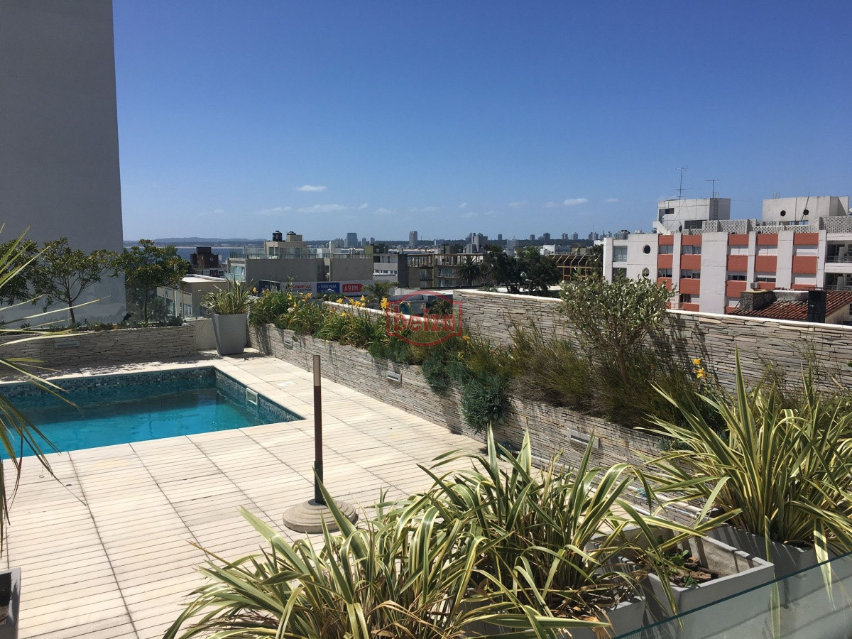 Apartamento ID.166213/Monoambiente-sobre-la-playa - PUNTA DLE ESTE PENINSULA SOBRE GORLERO MONO AMBIENTE EDIFICIO CON SERVICIOS