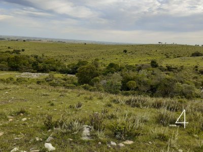 CHACRAS EN VENTA 5 HAS A 30 KM DE SAN CARLOS RUTA 39 