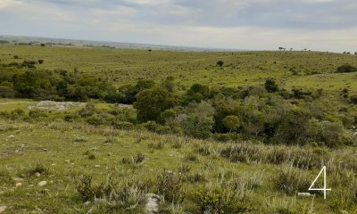 CHACRAS EN VENTA 5 HAS A 30 KM DE SAN CARLOS RUTA 39