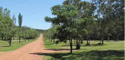 PUNTA BALLENA CNO. LUSSICH CHACRAS DEL PINAR TERRENOS DE 2000 M2 