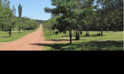 PUNTA BALLENA CNO. LUSSICH CHACRAS DEL PINAR TERRENOS DE 2000 M2