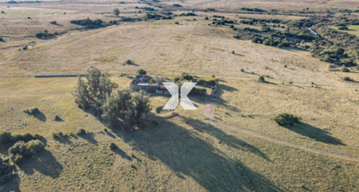 Campo Ref.384 - Campo a 35 km de José Ignacio. 