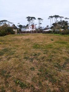 Terreno en Mansa en venta