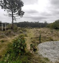 Terreno de muy buena ubicacion, apto PH, en Altos del Pinar