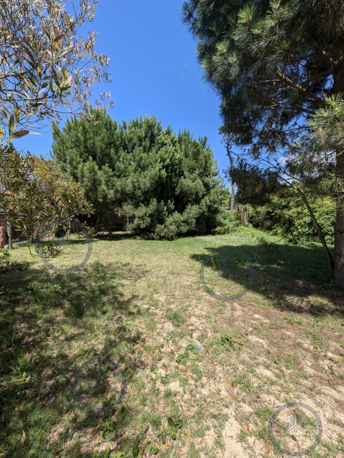 Terreno en Barrio Privado Punta del Este — fotografía 3