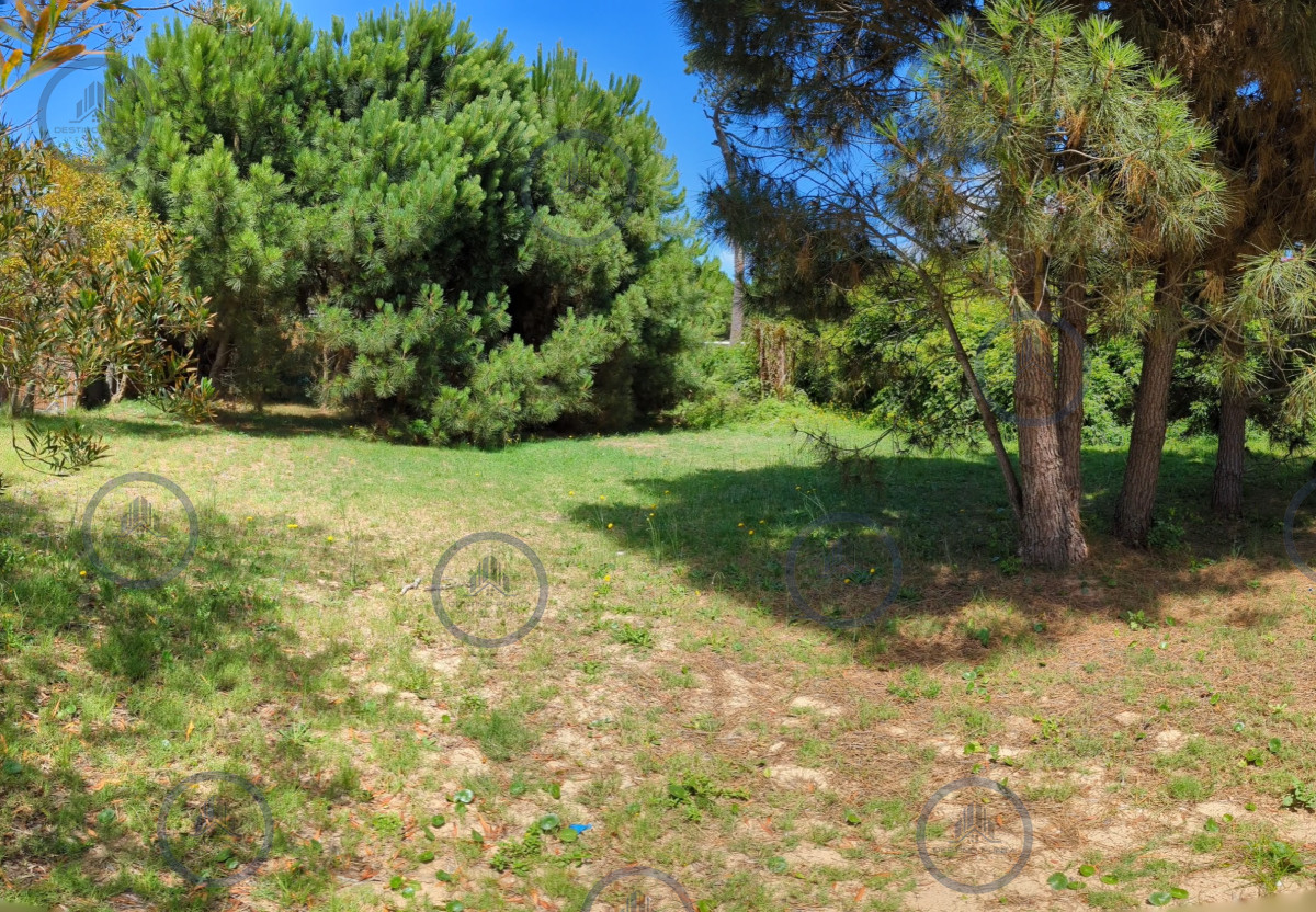 Terreno en Barrio Privado Punta del Este — fotografía 2