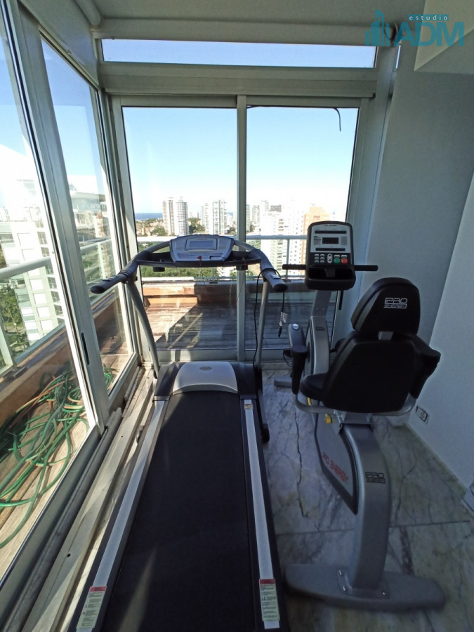 Apartamento ID.201 - Gran Penthouse duplex