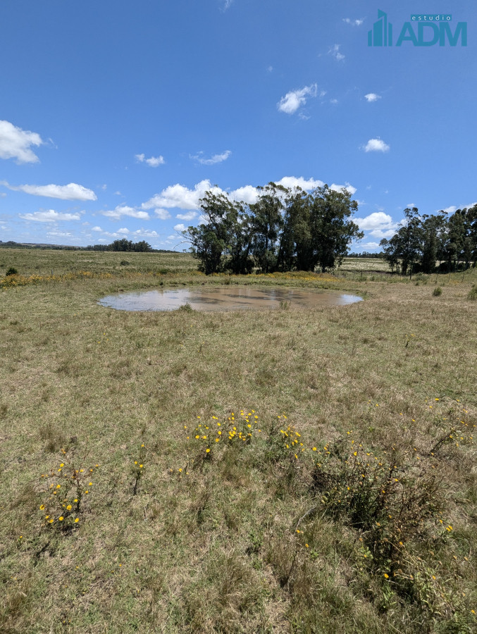Chacra ID.1757 - Chacra arbolada en venta en ruta 104