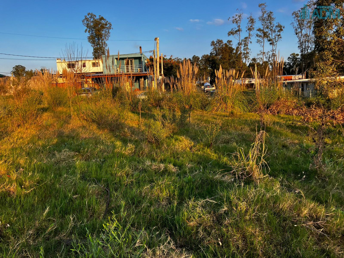Terreno ID.1830 - Terrenos en venta