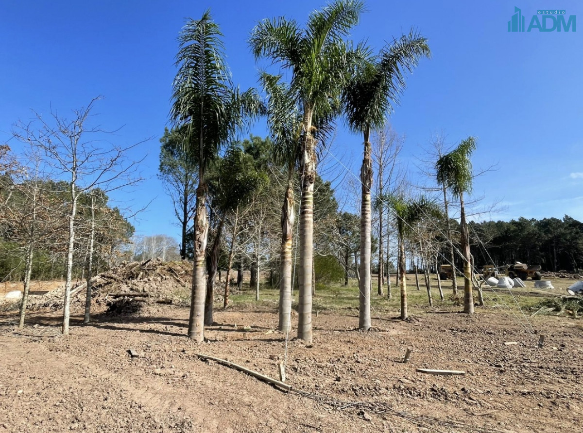 Terreno ID.1341 - Lote en excelente ubicacion en Distrito 52
