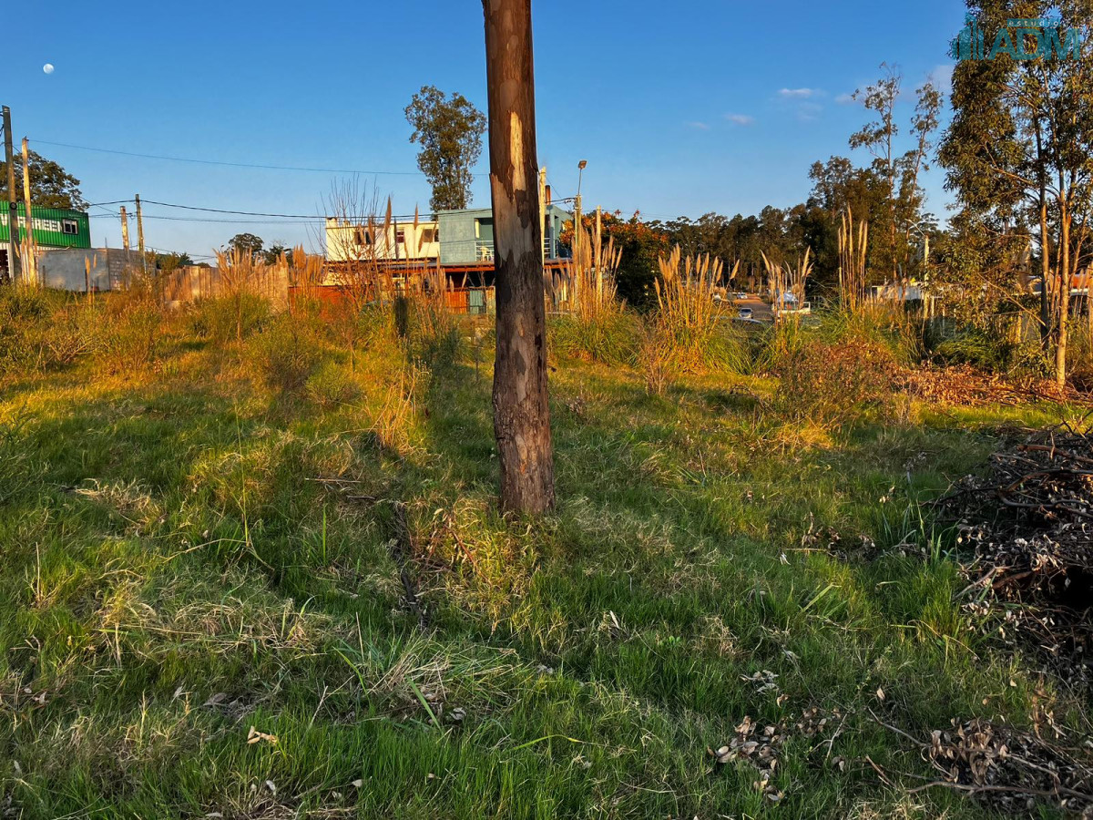 Terreno ID.1830 - Terrenos en venta