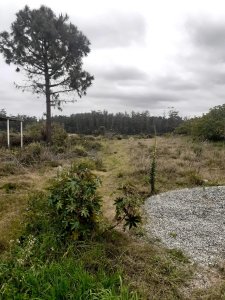 Terreno de muy buena ubicacion, apto PH, en Altos del Pinar
