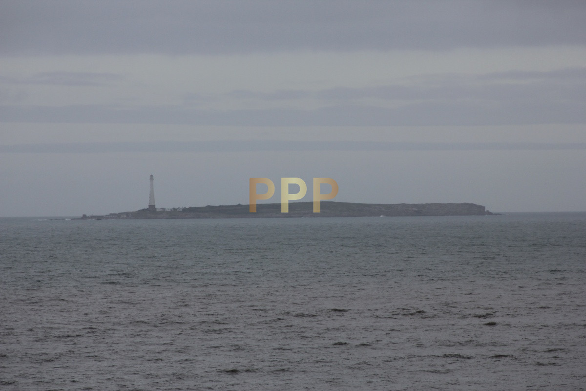 Apartamento ID.1063 - Apartamento en alquiler en Península frente al mar.