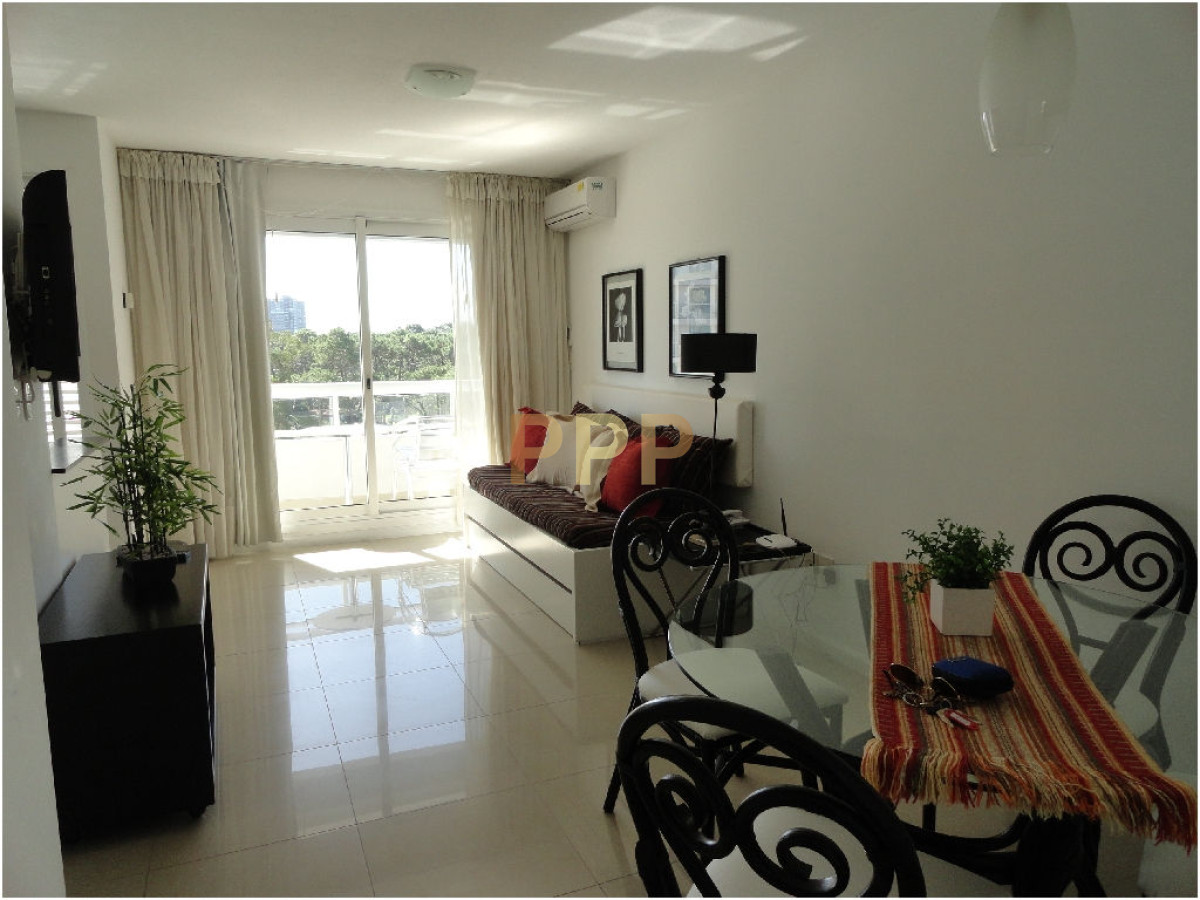 Apartamento ID.216 - Alquilo apartamento de 1 dormitorio en Roosevelt, Punta del Este