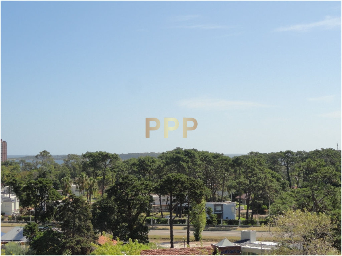 Apartamento ID.216 - Alquilo apartamento de 1 dormitorio en Roosevelt, Punta del Este