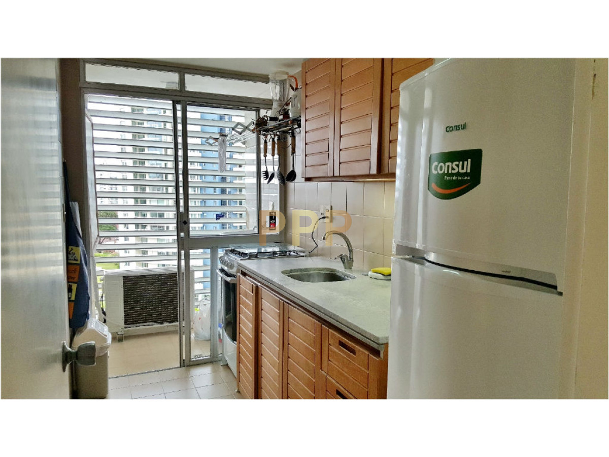 Apartamento ID.250 - Alquilo excelente apartamento en Brava a 100 metros de la playa, Punta del Este.