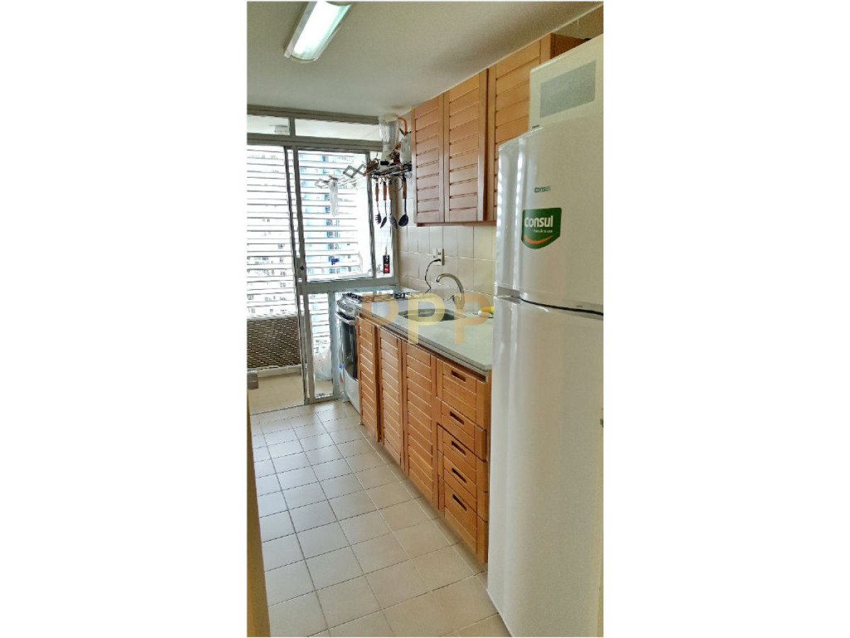Apartamento ID.250 - Alquilo excelente apartamento en Brava a 100 metros de la playa, Punta del Este.