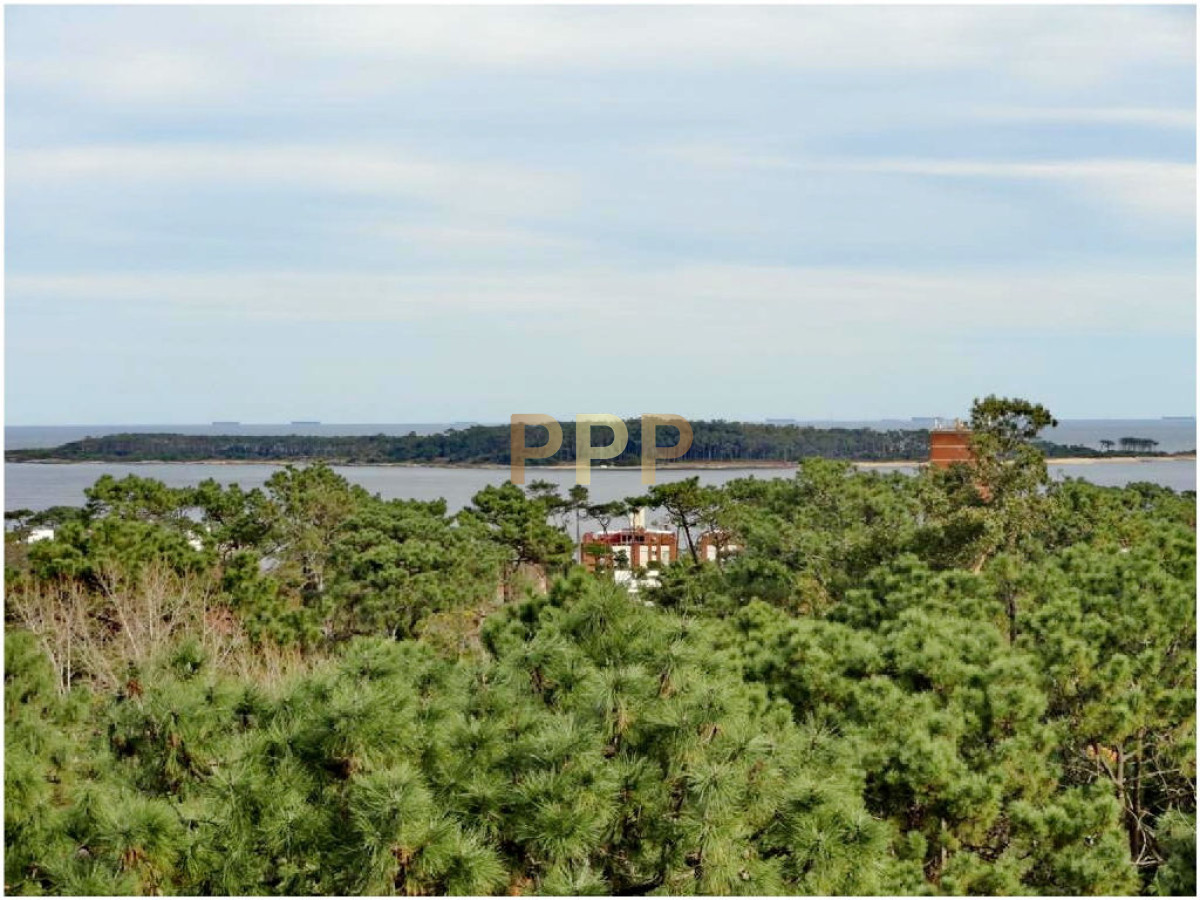 Apartamento ID.527 - Roosevelt: Apartamento en venta y alquiler. 