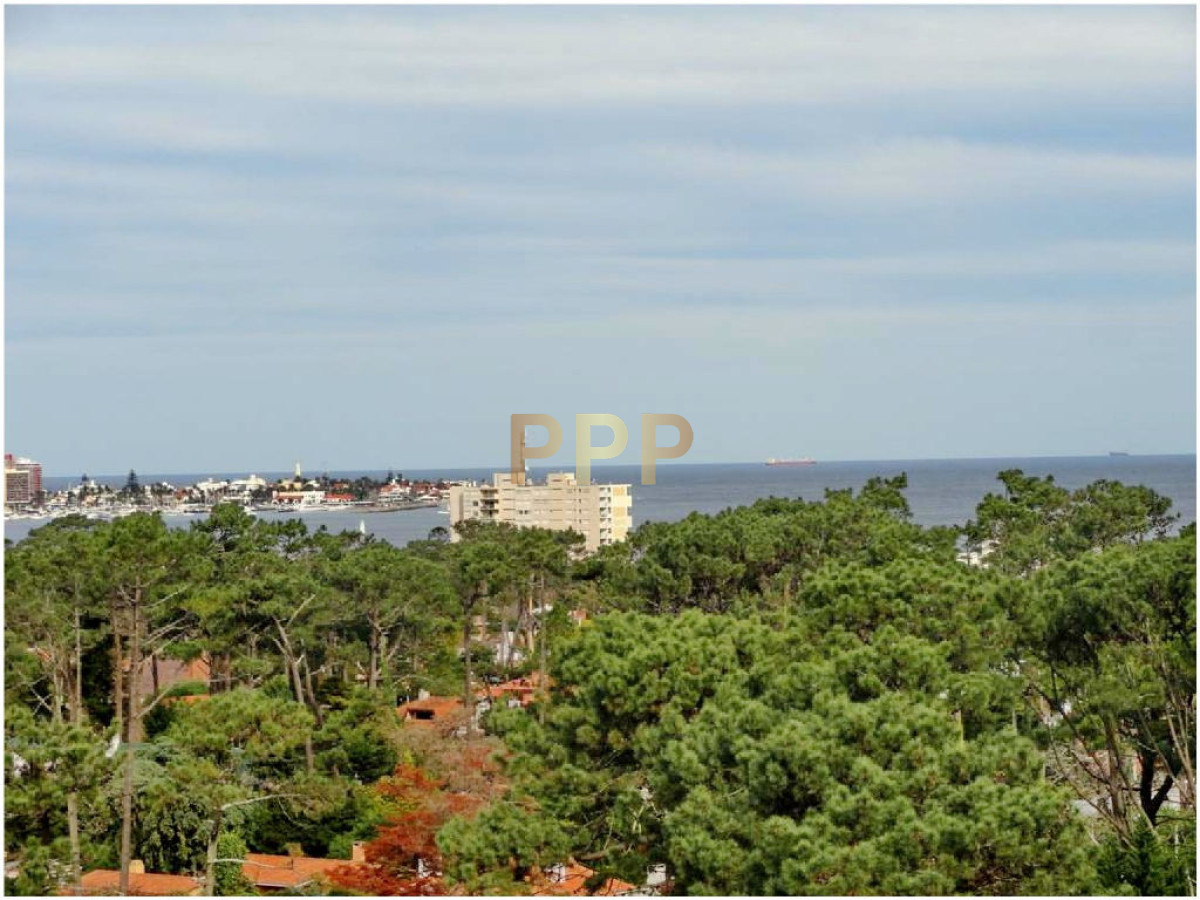 Apartamento ID.527 - Roosevelt: Apartamento en venta y alquiler. 