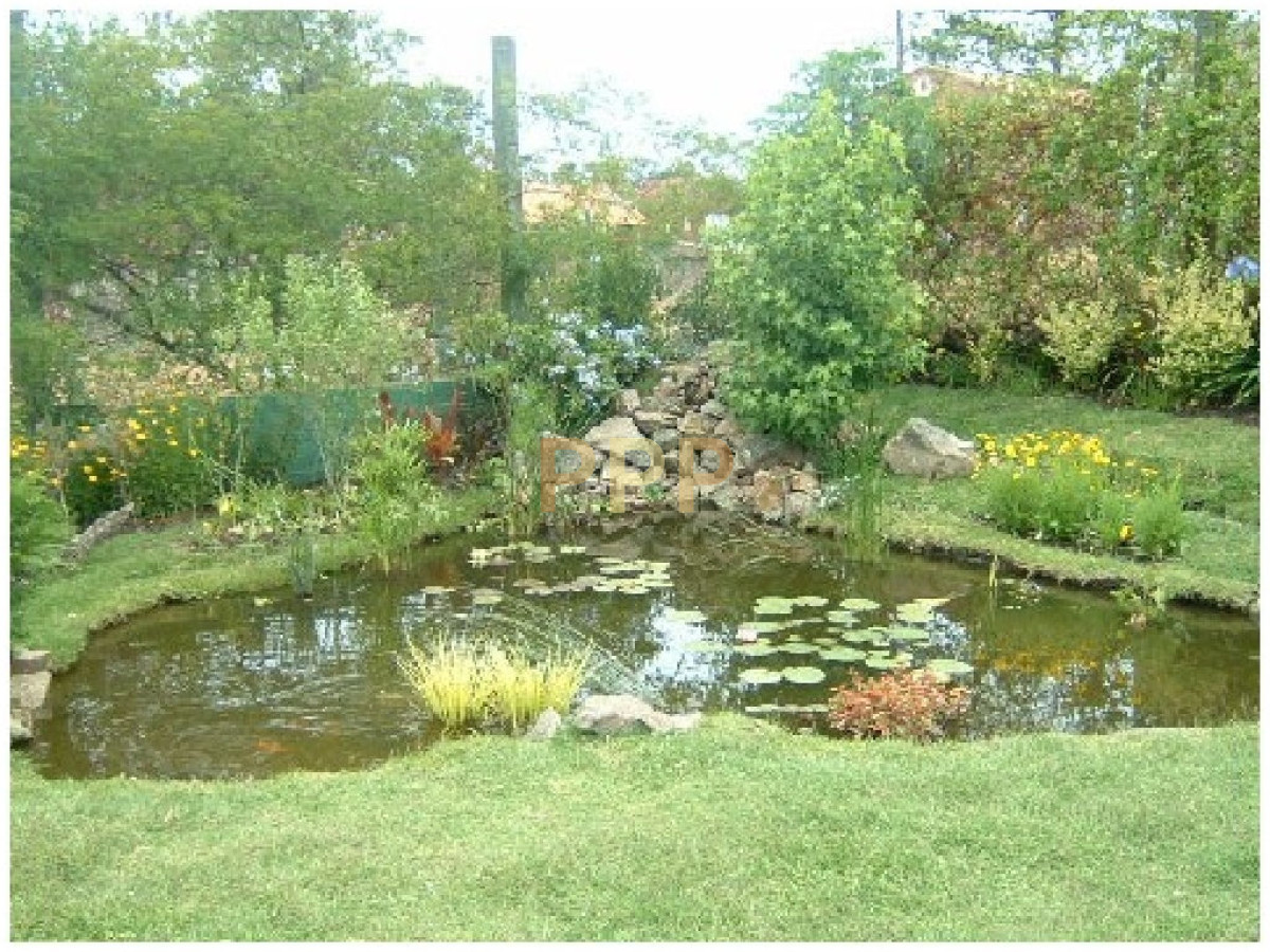 Casa ID.1659 - Muy linda casa en alquiler, zona Pinares, Punta del Este