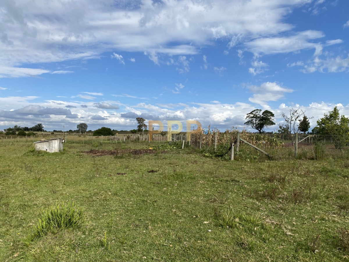 Chacra ID.3605 - En venta...chacra en zona de Ruta 9