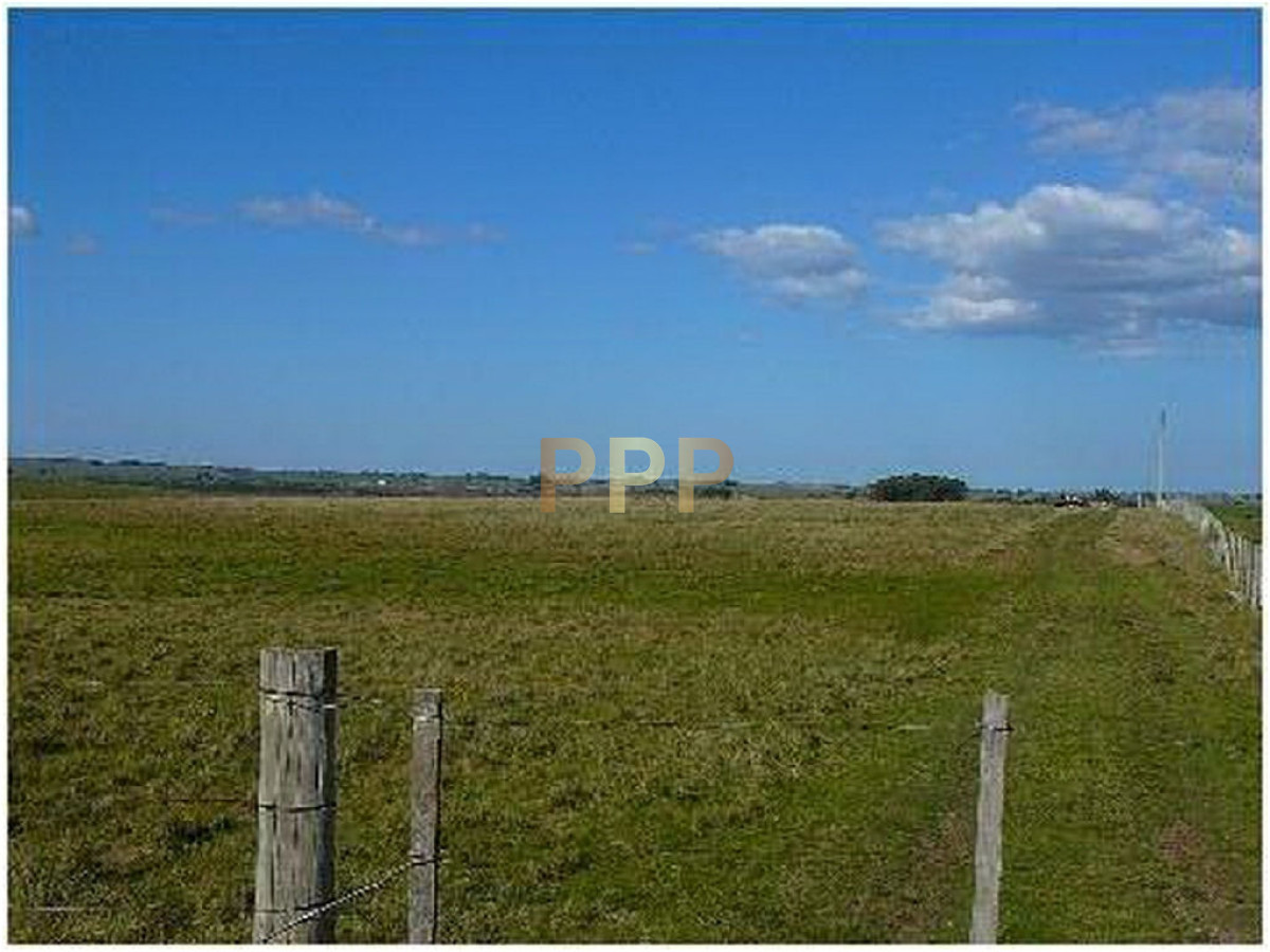 Chacra ID.2045 - 