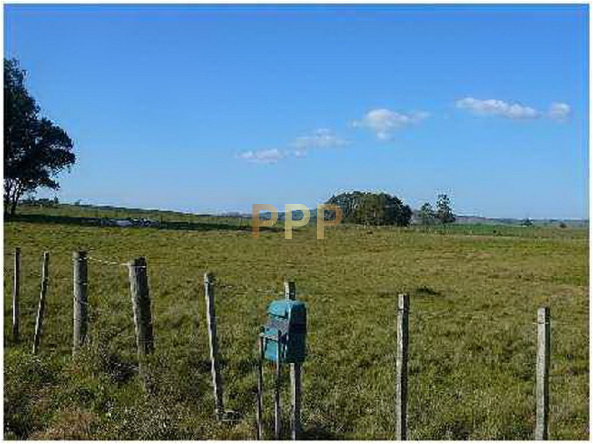 Chacra ID.2045 - 