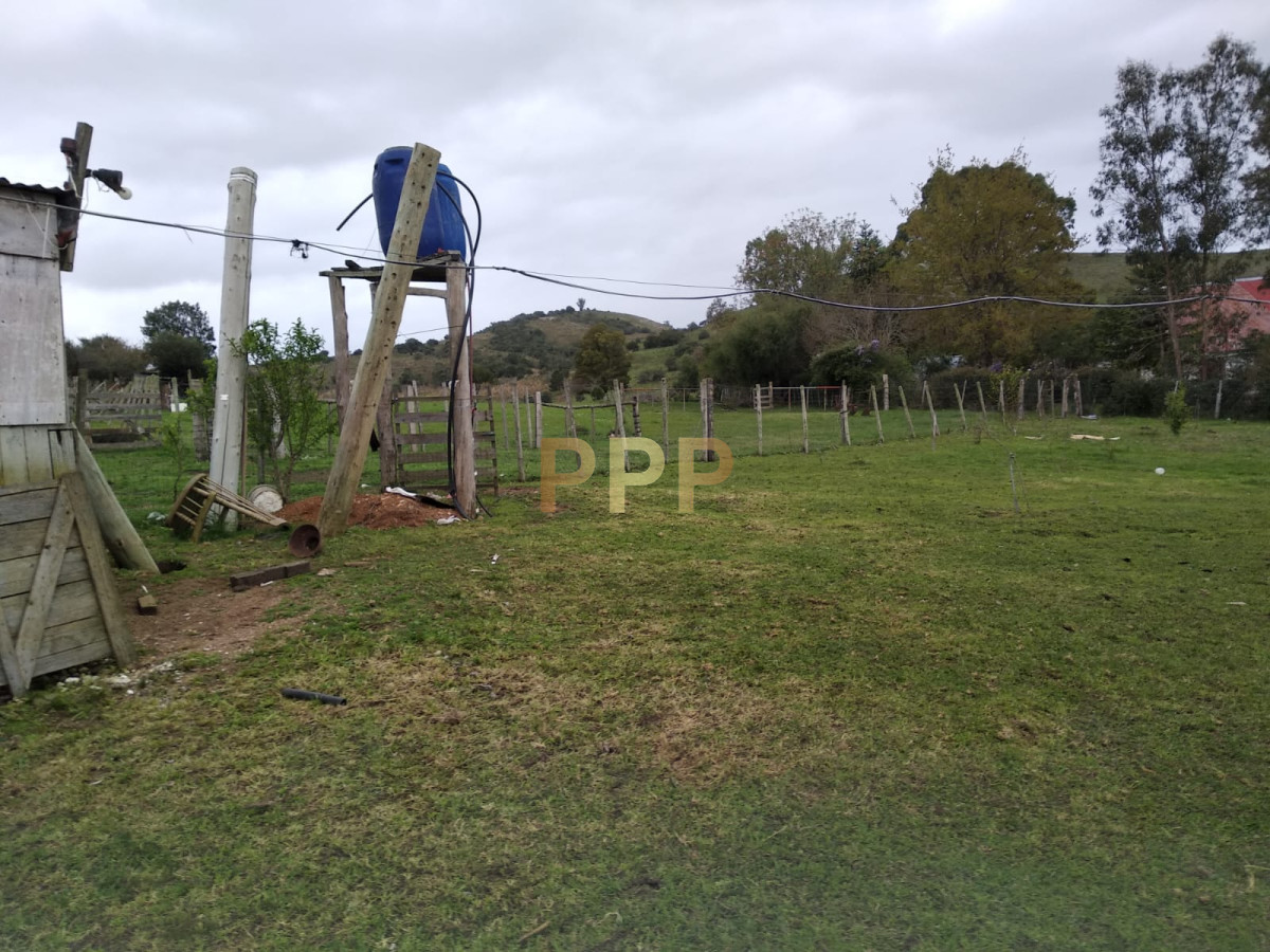Chacra ID.2274 - Vendo excelente chacra de 39 hectÃ¡reas para granja turÃ­stica o tambo, Aigua, Punta del Este
