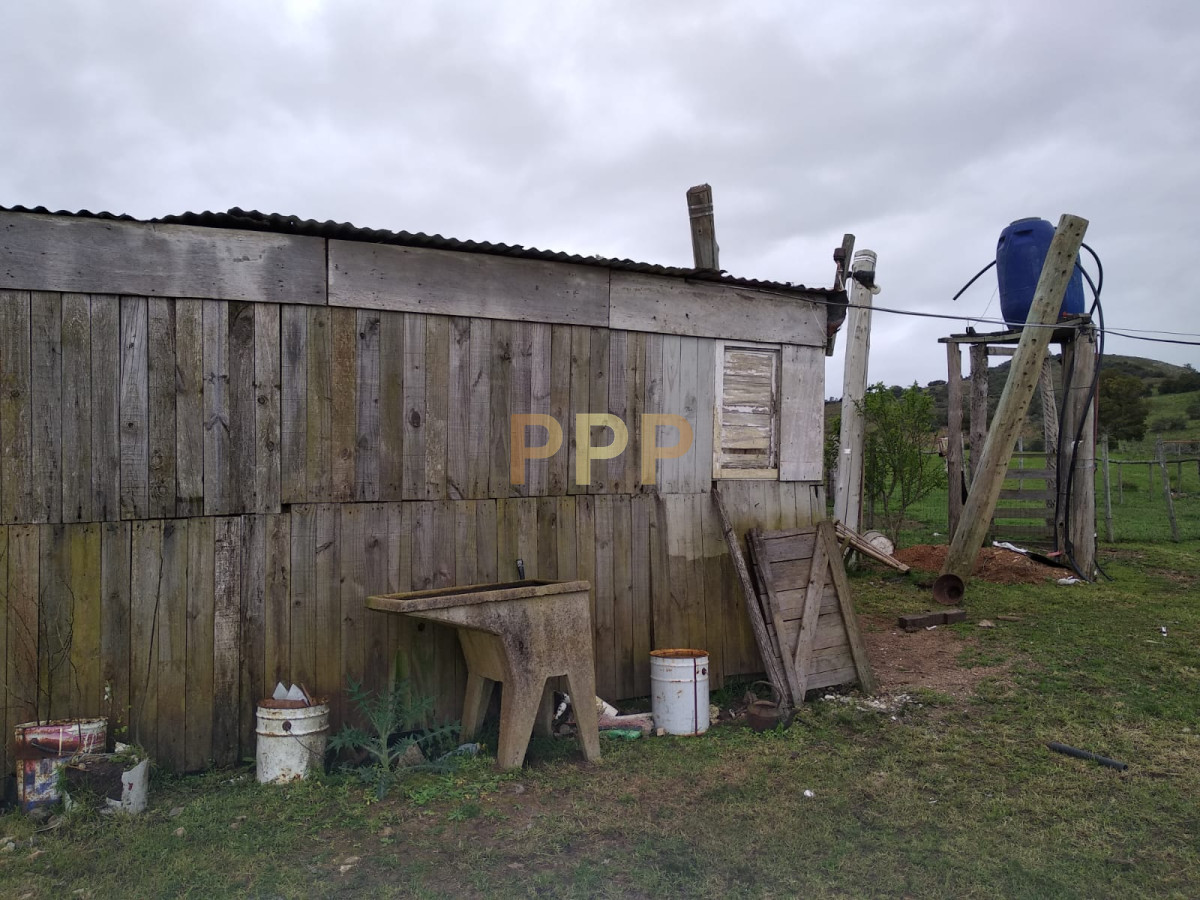 Chacra ID.2274 - Vendo excelente chacra de 39 hectÃ¡reas para granja turÃ­stica o tambo, Aigua, Punta del Este