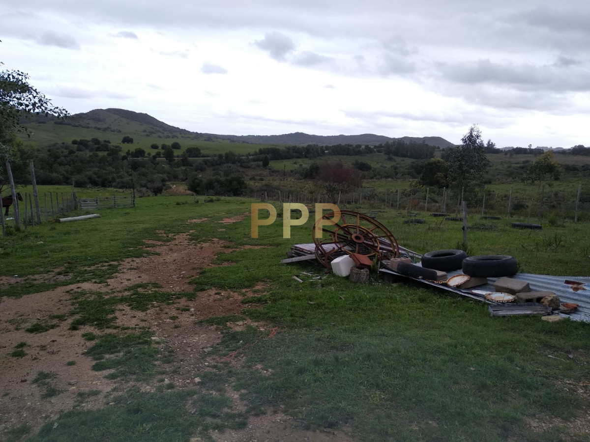 Chacra ID.2248 - Vendo excelente chacra de 39 hectÃ¡reas para granja turÃ­stica o tambo, Aigua, Punta del Este