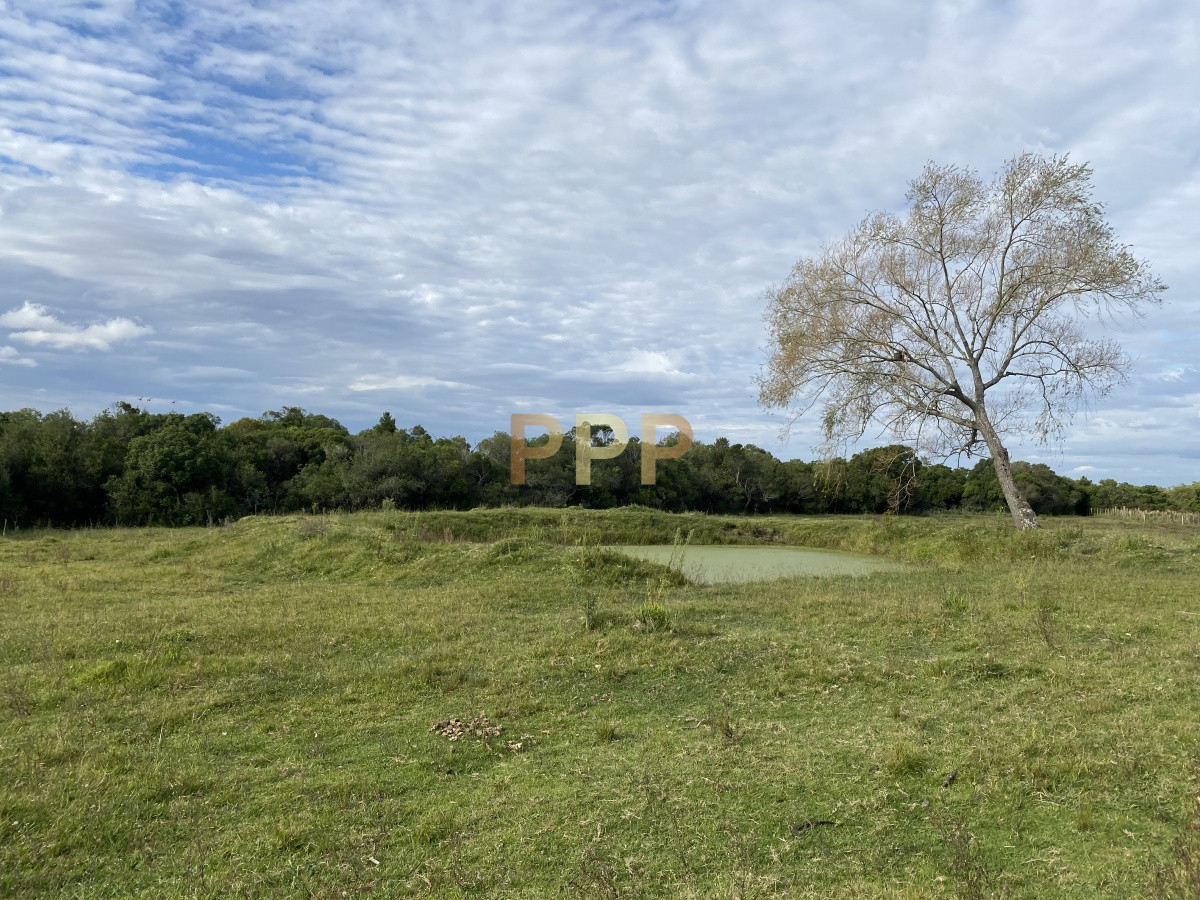 Chacra ID.3605 - En venta...chacra en zona de Ruta 9