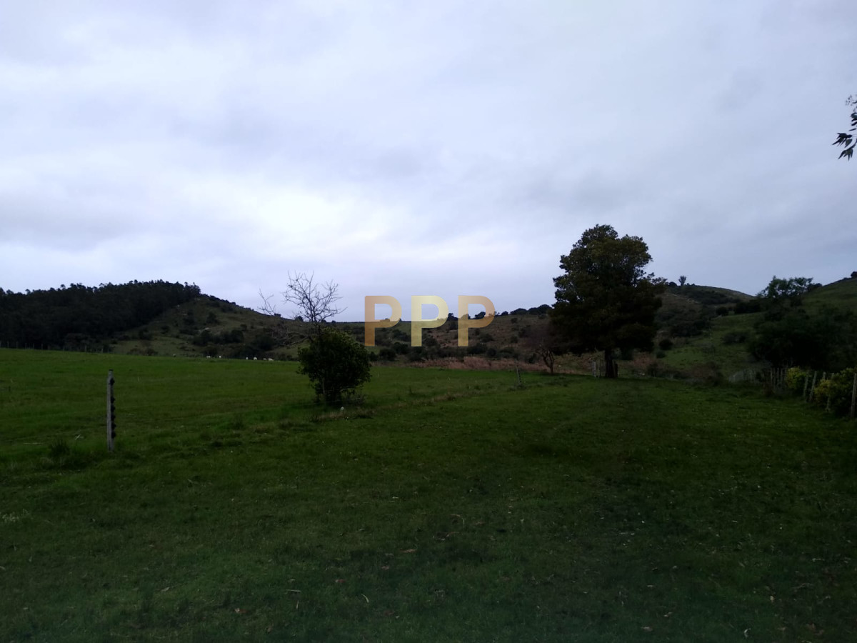 Chacra ID.2274 - Vendo excelente chacra de 39 hectÃ¡reas para granja turÃ­stica o tambo, Aigua, Punta del Este