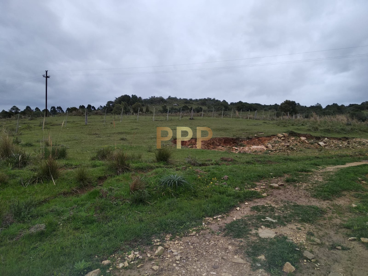 Chacra ID.2248 - Vendo excelente chacra de 39 hectÃ¡reas para granja turÃ­stica o tambo, Aigua, Punta del Este
