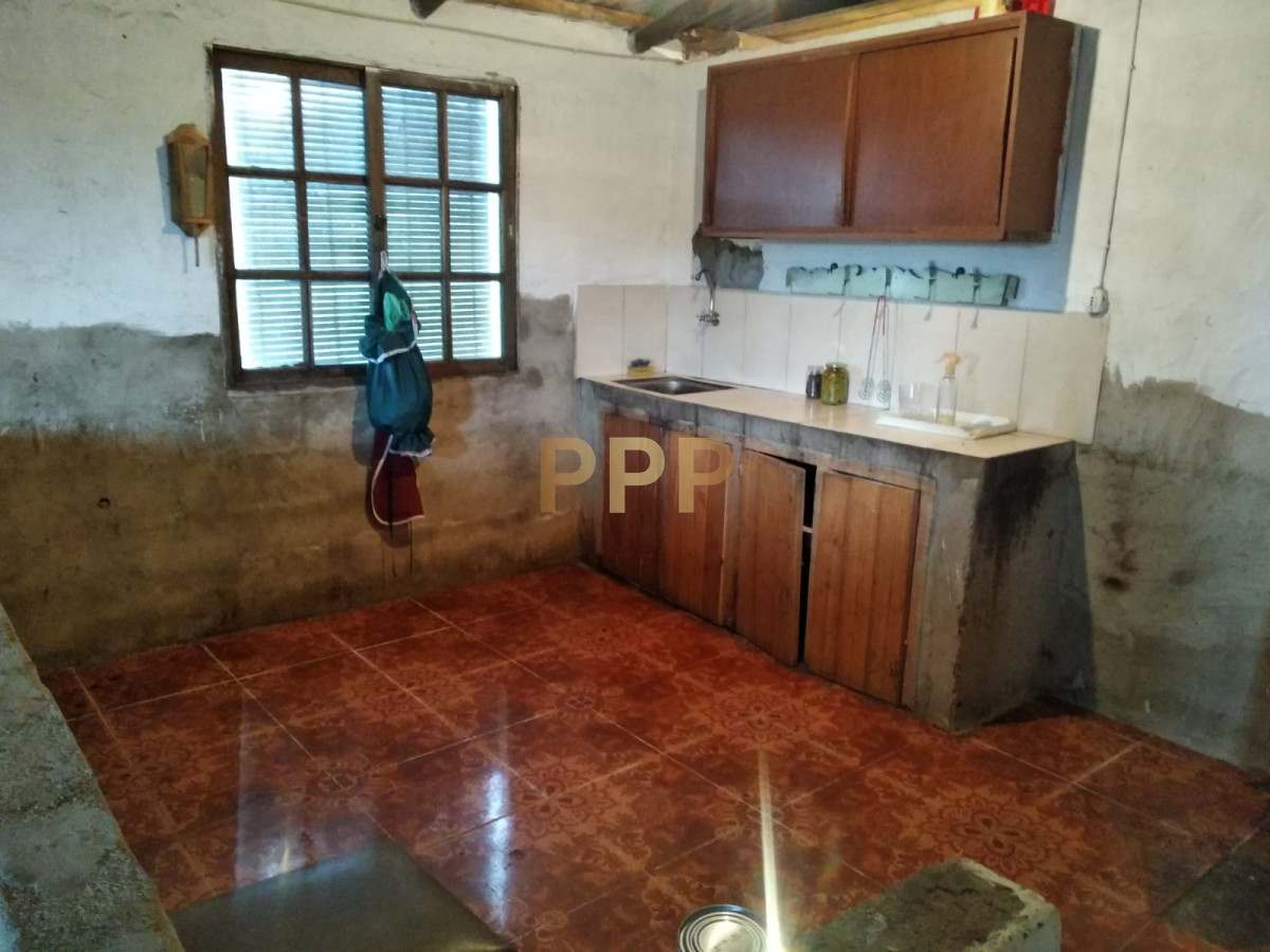Chacra ID.2248 - Vendo excelente chacra de 39 hectÃ¡reas para granja turÃ­stica o tambo, Aigua, Punta del Este