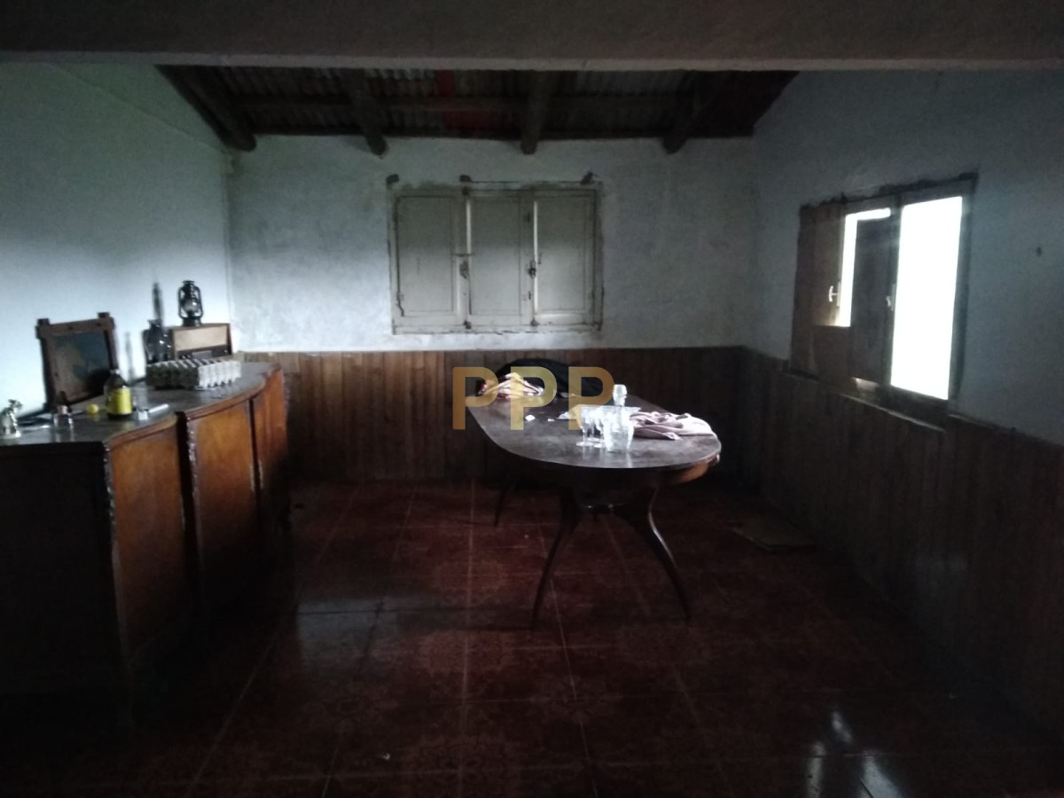 Chacra ID.2248 - Vendo excelente chacra de 39 hectÃ¡reas para granja turÃ­stica o tambo, Aigua, Punta del Este