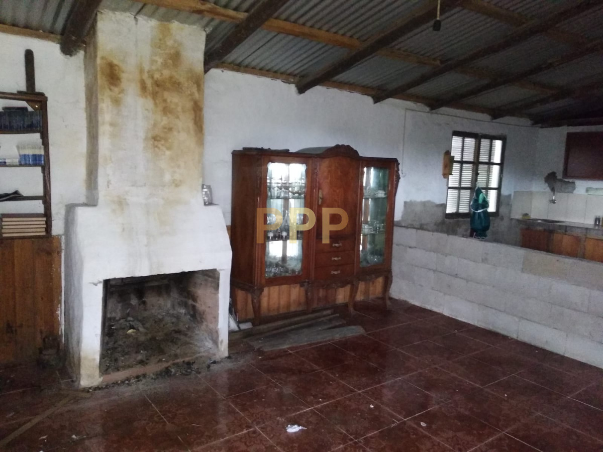 Chacra ID.2248 - Vendo excelente chacra de 39 hectÃ¡reas para granja turÃ­stica o tambo, Aigua, Punta del Este