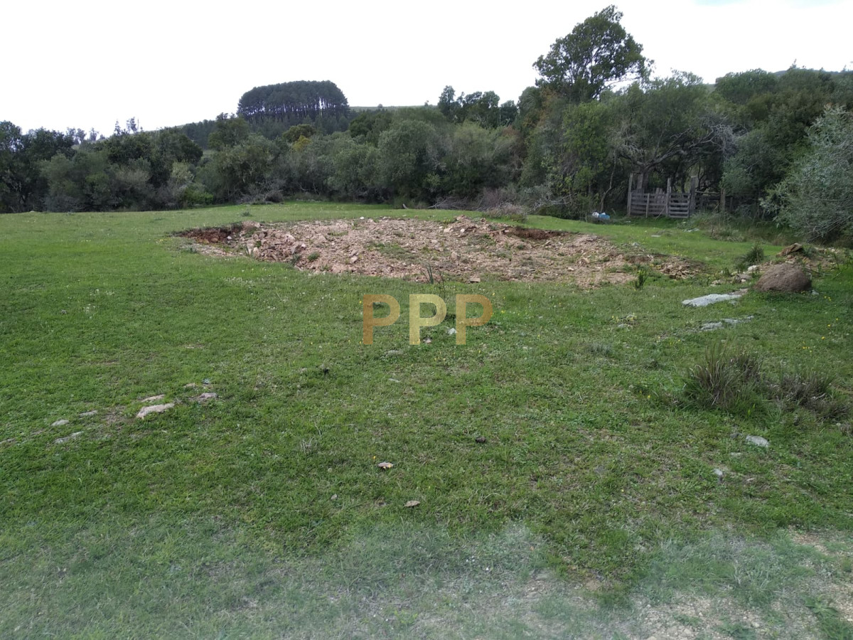 Chacra ID.2248 - Vendo excelente chacra de 39 hectÃ¡reas para granja turÃ­stica o tambo, Aigua, Punta del Este