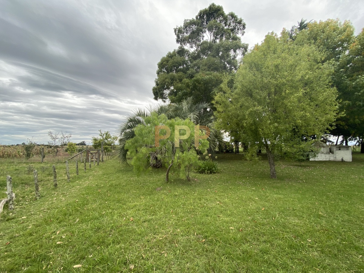 Chacra ID.3605 - En venta...chacra en zona de Ruta 9